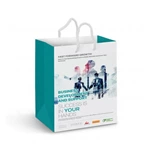 Medium Laminated Paper Carry Bag - Full Colour