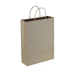 Paper Kraft Trade Show Bag