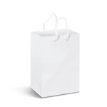 Small Laminated Paper Carry Bag - Full Colour