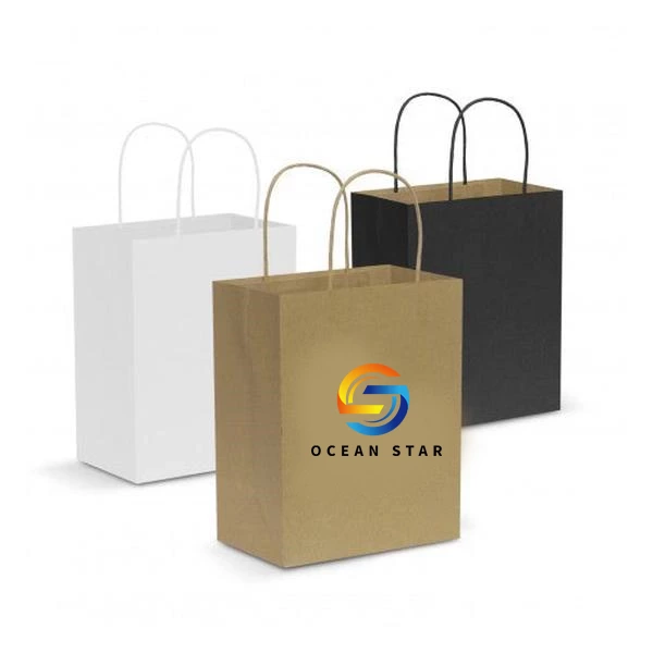 Paper Carry Bag - Medium