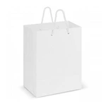 Laminated Carry Bag - Medium