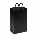 Laminated Carry Bag - Small