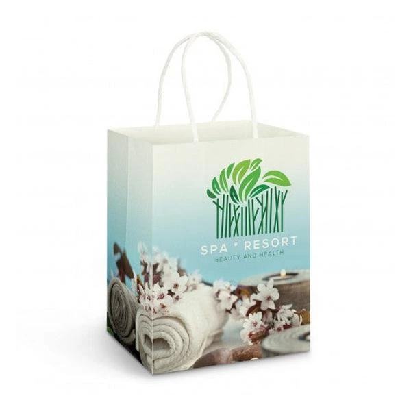 Large Paper Carry Bag - Full Colour