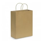 Paper Carry Bag - Large