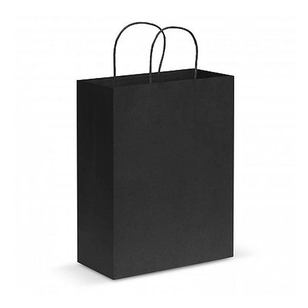 Paper Carry Bag - Large