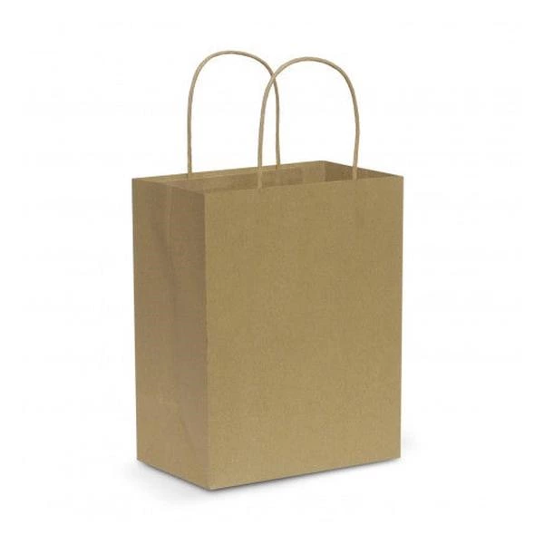 Paper Carry Bag - Medium