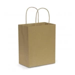 Paper Carry Bag - Medium