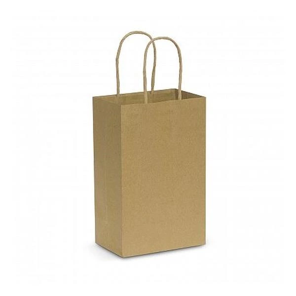 Paper Carry Bag - Small