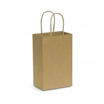 Paper Carry Bag - Small