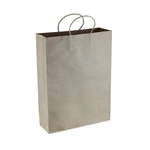 Paper Kraft Shopping Bag