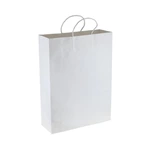 Paper Kraft Shopping Bag